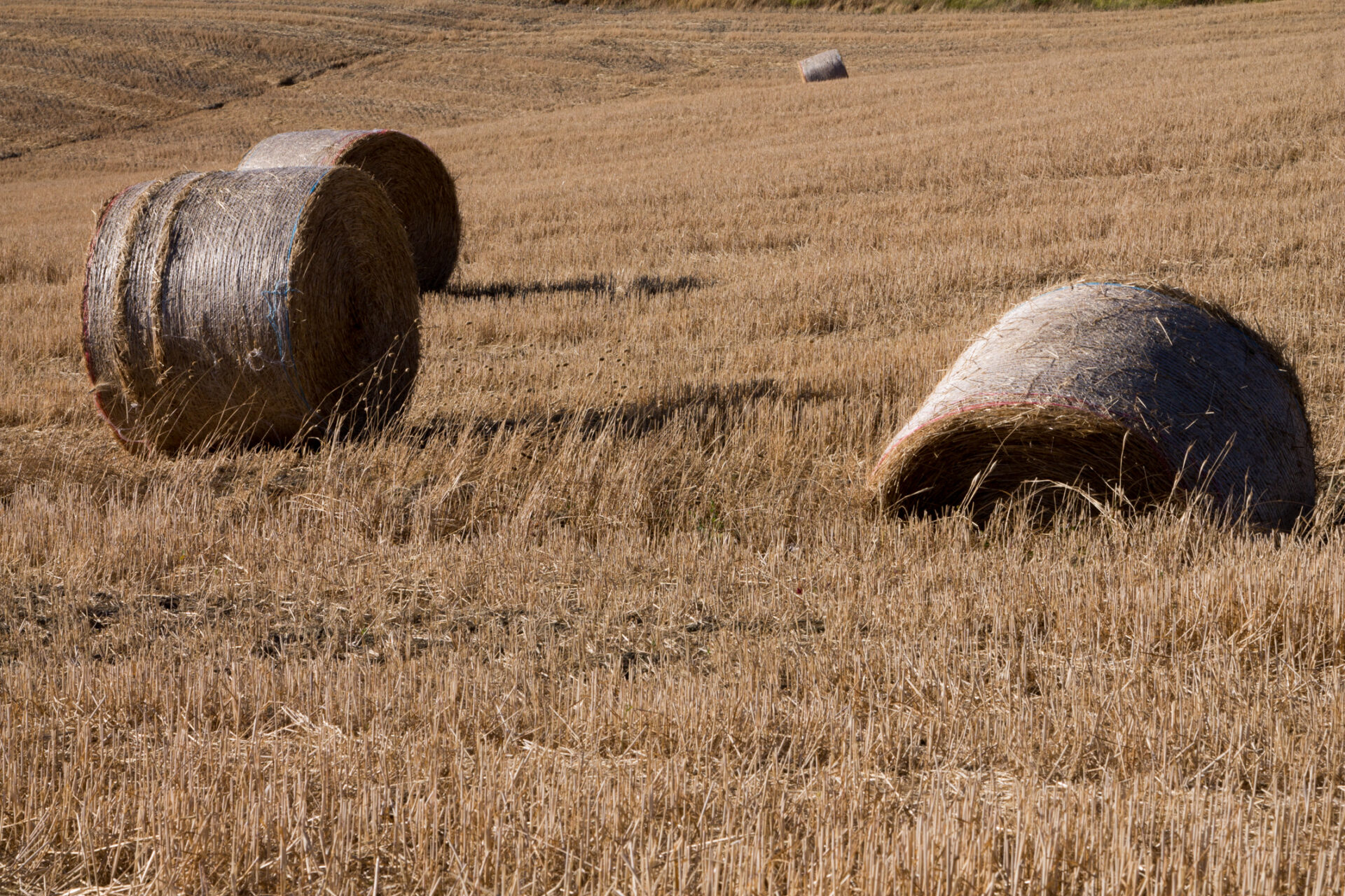 Campagna Toscana